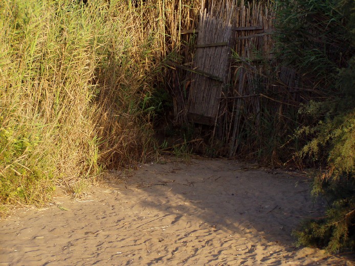 I fossi e lo stagno di Baratti (Piombino - LI)